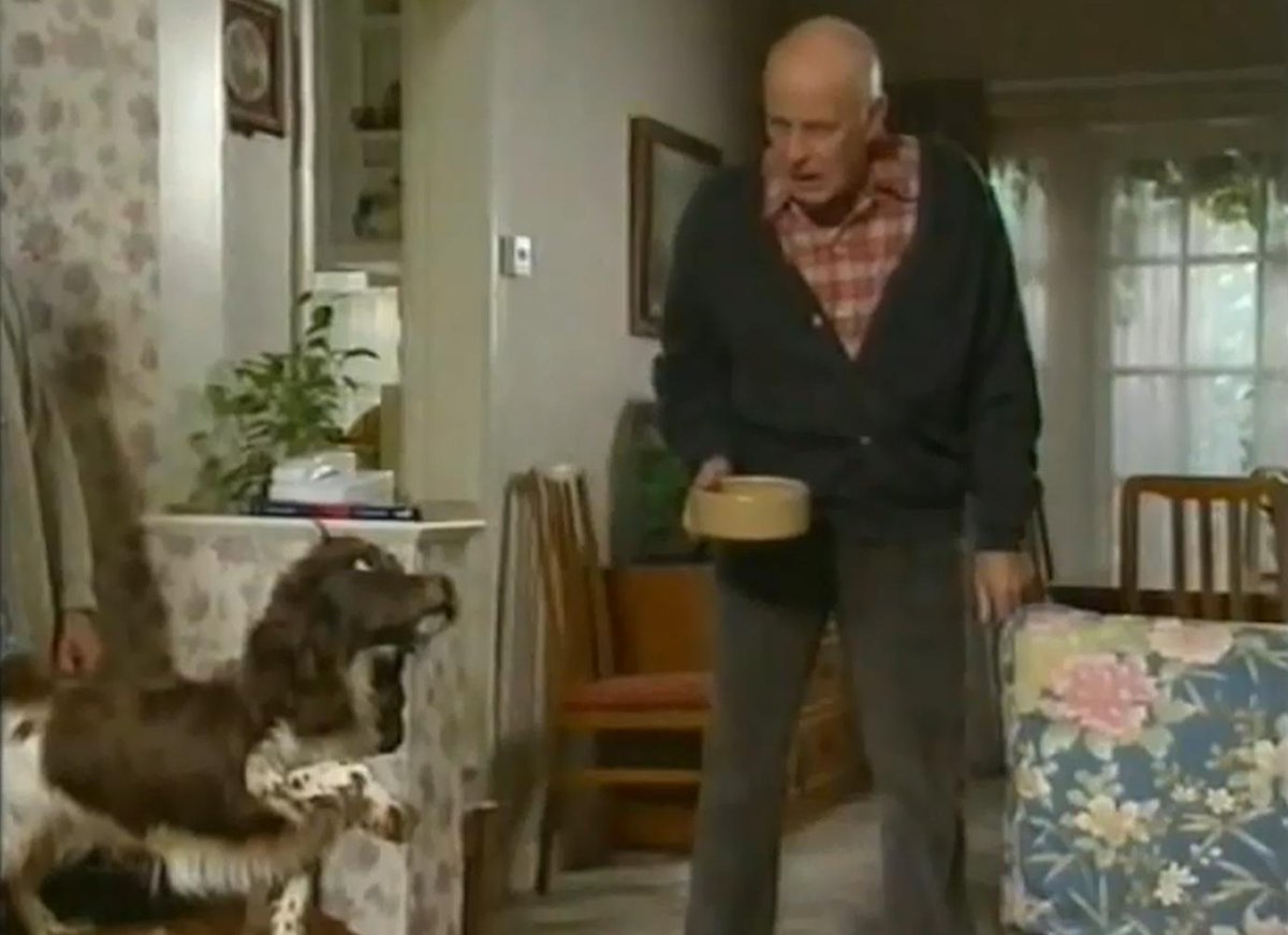 absoluteradio's tweet photo. Time for the classic #SitcomMoment!
Today, Victor gets a surprise from a stuffed dog...
@OC #OC http://t.co/GnpYFqaEpm