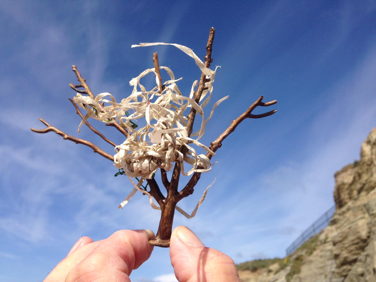 PINKSEAFAN's tweet photo. @Seasaver So many #pinkseafans entangled in #marinedebris http://t.co/JI4fzgxcjR