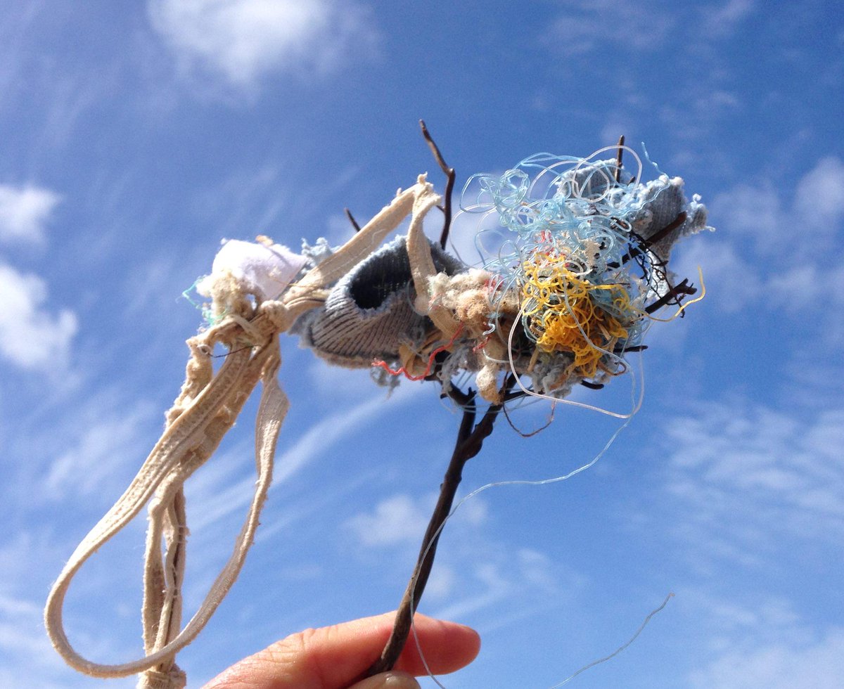 PINKSEAFAN's tweet photo. @mcsuk So many #pinkseafans entangled in #marinedebris http://t.co/9qLx8nJ9vu