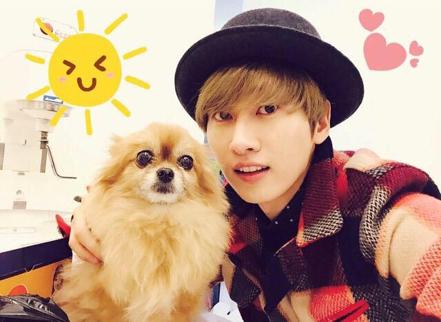 SJHYUKZAE's tweet photo. choco has been with me for 13 years. thank you for staying by my side. u'll be missed.
#RIPChoco
#RestInPeaceChoco http://t.co/mysNEJtaKc