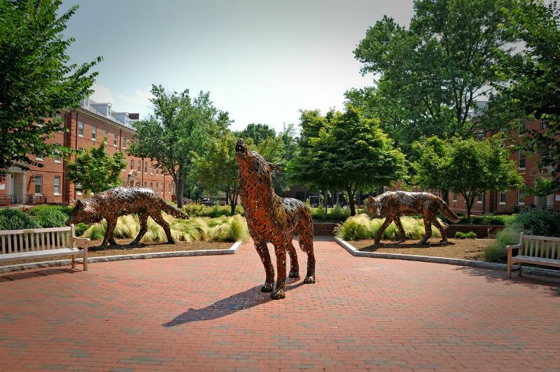 #NCState Goodnight Scholars Class of 2019 revealed! #ReachHigher #STEM #NCState19 #ThinkandDo buff.ly/1ApbXiP