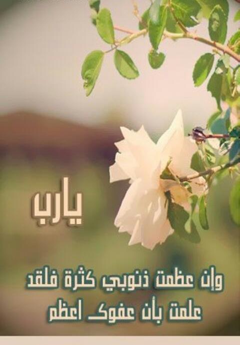 2456566and's tweet photo. تعرفون ماهي طوبى 😊
انها شجره في الجنه🌴🌴
من ذهب منها ثياب 👕👕
اهل الجنه ظلها مسيره 
مائه عام للجود السريع 🐎🐎 http://t.co/209fnSfZ2K