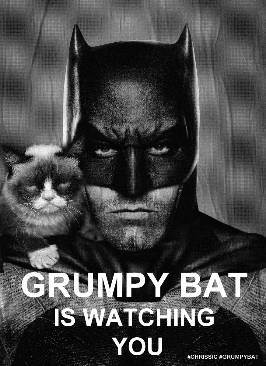 Lyricis's tweet photo. Grumpy Bat #GrumpyBat #BatmanVSuperman #batman #Crumpycat http://t.co/6aP7bcMJI2