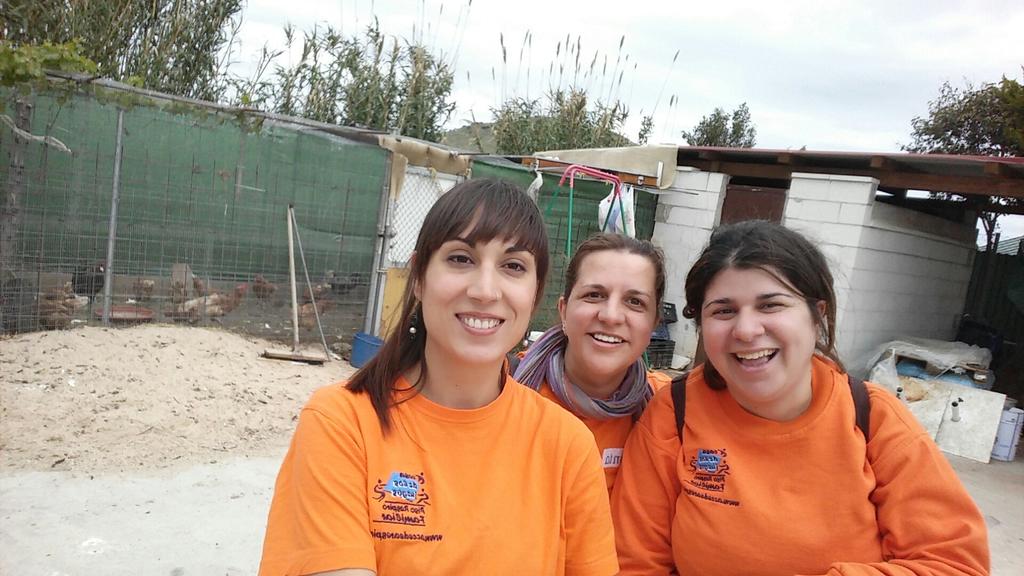 Accede a Respiro (@arespiro) on Twitter photo 