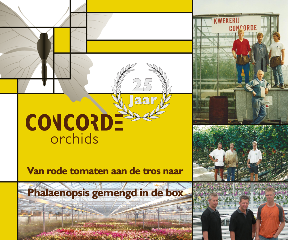Concorde Orchids tweet media