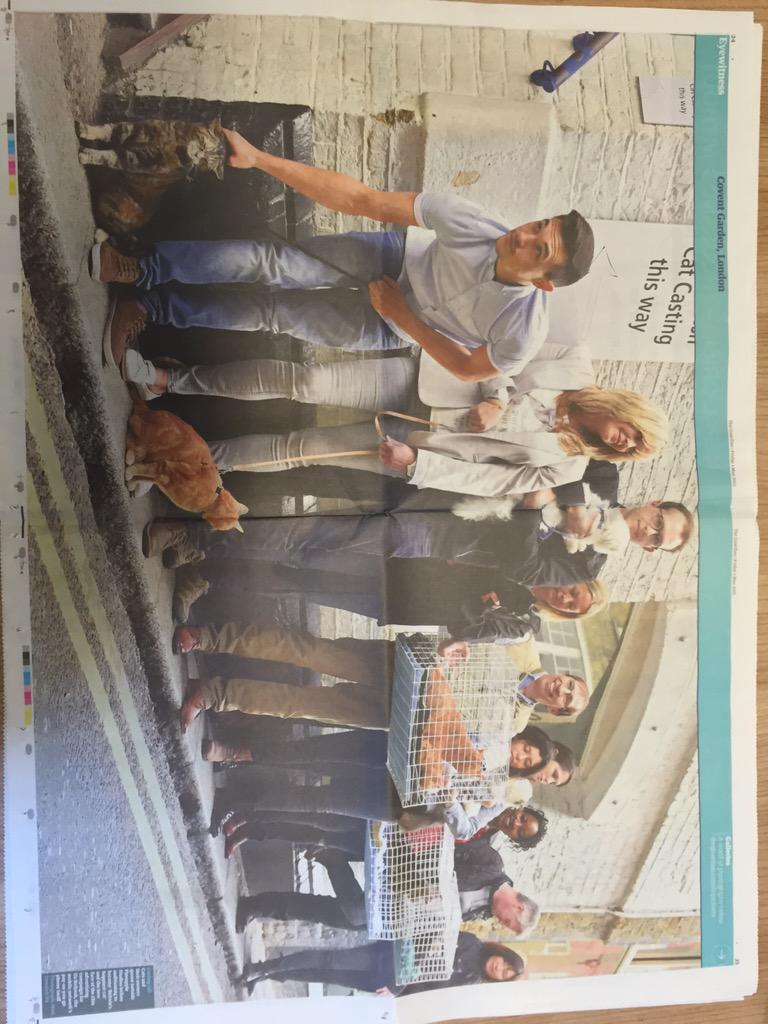 PA_Mediapoint's tweet image. What a way to start a Friday, walking into a @guardian eyewitness for our Happy Cat picture! #O2HappyCat