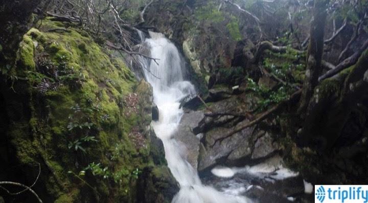 Gday_UK_'s tweet photo. #Explore #Tasmania through #Triplify #AmplifyYourTrip http://t.co/yM1GsHks9o http://t.co/Ht8RE5FcoW