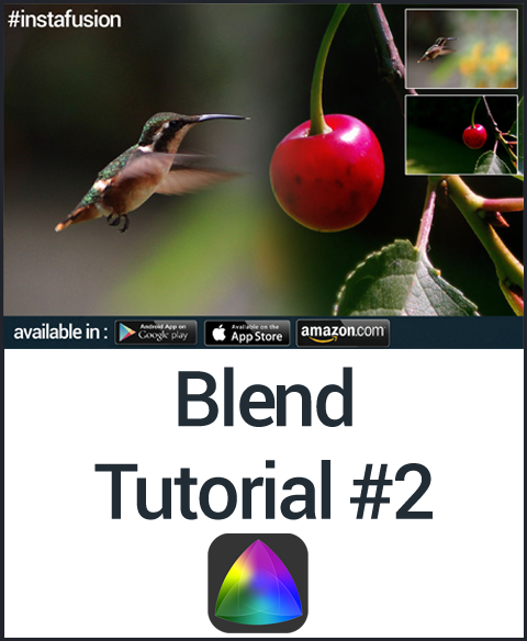 dc_sketchapp's tweet image. #blendtutorial by me on my smartphone with #instafusion #app and #pixabay #pictures
instafusionapp.blogspot.in/2015/04/blog-p…
