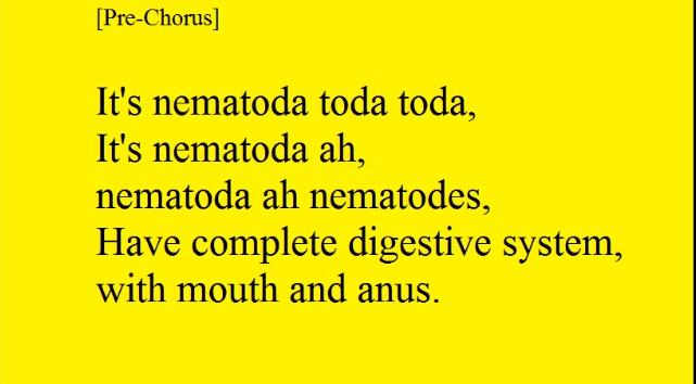 NEMATODE__ tweet picture