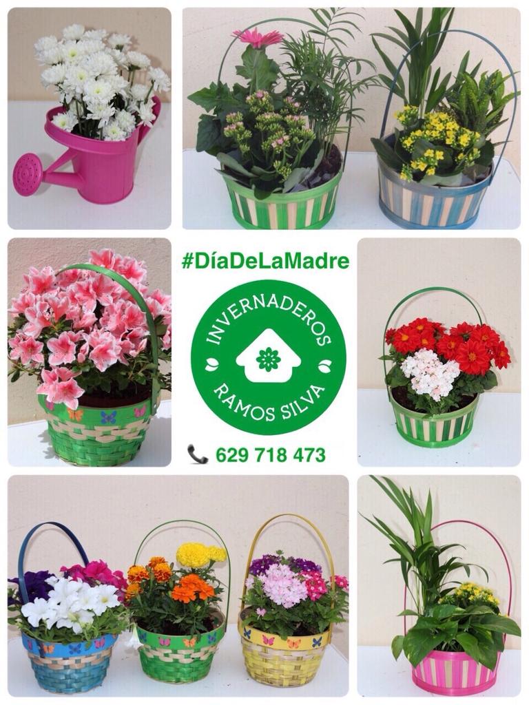 InvernaderosRam's tweet photo. Ah! No olvidéis el regalito para mamá! Os esperamos en nuestras instalaciones 😉 http://t.co/Jnx5SdkEA3