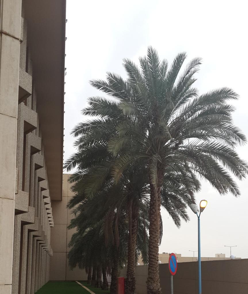 totyffff's tweet photo. مدته:3 ايام
معدل:15ساعة
المتدربات:منسوبات الاحوال المدنية
المكان:خدمة المجتمع والتدريب المستمربالكلية التقنية بالرياض http://t.co/dXkEUKDQl6