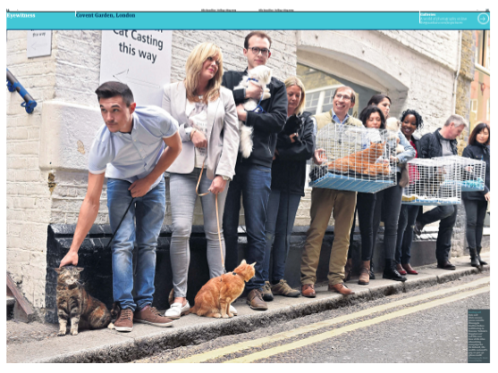 mcrossick's tweet image. Great to get @guardian Eyewitness today, from a job which literally involved herding cats! #O2HappyCat  @TNRnews