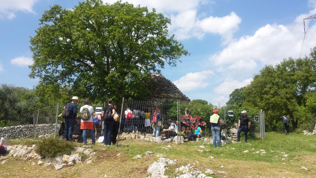 trulliangela's tweet photo. Invasion in progress @TrulloMarziolla! Le #invasionidigitali colpiscono ancora!
#invadiamotrullomarziolla http://t.co/AFeMANAA7T