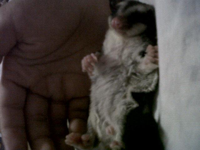 itikkkkk's tweet photo. Met bobo sayang.. Minggu ketemu abi nya ya:') http://t.co/xCO8cRRfeH