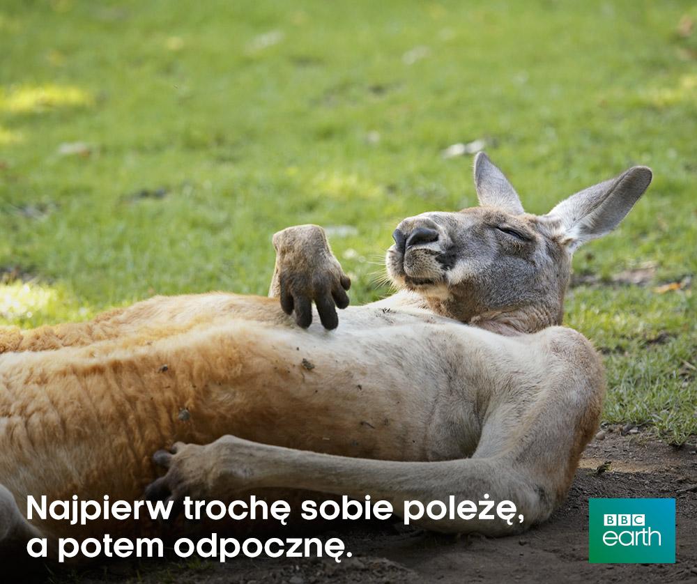https://pbs.twimg.com/media/CD6fD6zW8AAB7e7.jpg