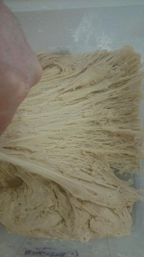 anbacusbeag's tweet image. 16 hr Biga for our Ciabatta #RealIrishBread