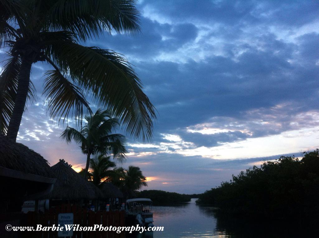 barbiedoll_eyw's tweet photo. Hip hip hooray its #grouper day! This #fishchick is #offthedock! GM #keywest #sunrise @GeigerKeyMarina http://t.co/9AJlolhgKR