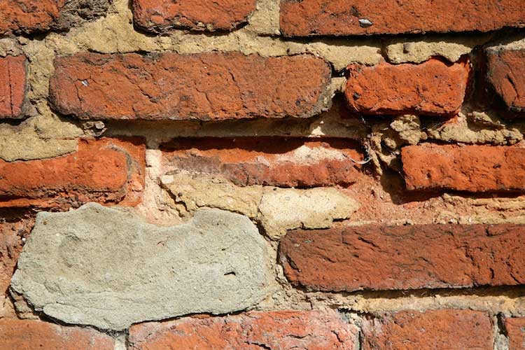 GreenSpec tweet media