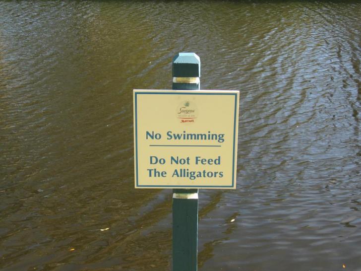 FloratineFoliar's tweet photo. This sign a friendly reminder to not swim with alligators. #GolfCourseSign http://t.co/gejAYOBHjJ