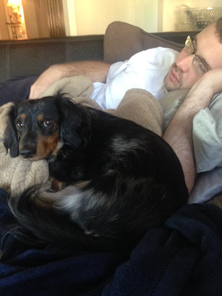 Tucker10912's tweet photo. Mom! Dad and I are TRYING to nap! Quit with the pics please!!! #dachshund #sleepyween #ThisSideOfTheCouchIsBoysOnly http://t.co/dVyJjd0nfO