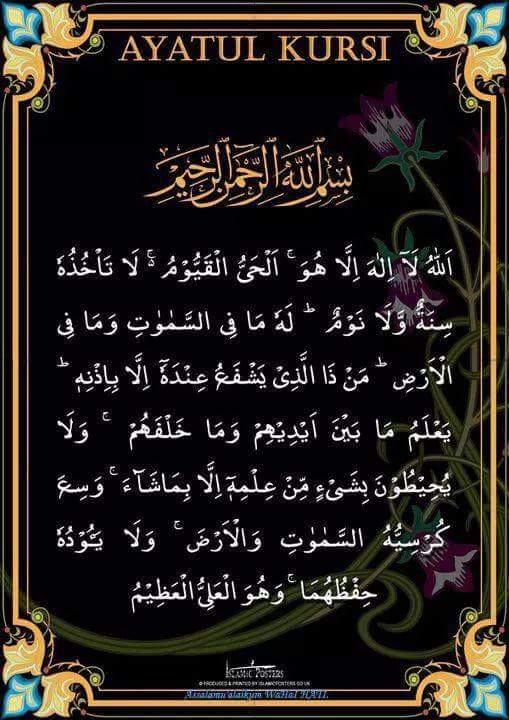 OmelSy tweet picture