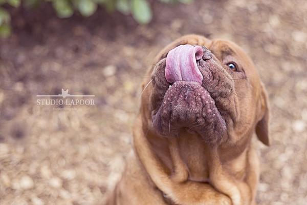 Wat lekker! Het is weekend!!