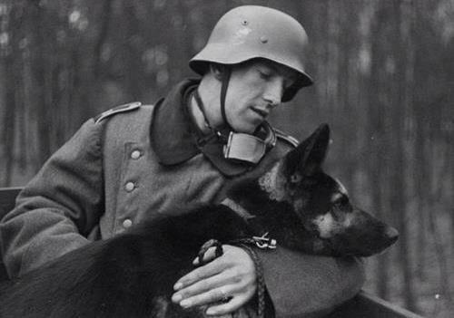 MorriganHammer's tweet photo. Germans soldier and his dog...Sweet #officers #germans #nazi #ww2 #ss #waffenss #germanshepard #dogs #pets #sweet <3 http://t.co/cbP3EqkAvJ