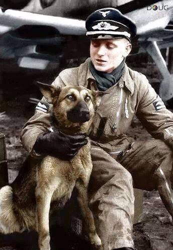 MorriganHammer's tweet photo. Germans soldier and his dog...Sweet #officers #germans #nazi #ww2 #ss #waffenss #germanshepard #dogs #pets #sweet <3 http://t.co/cbP3EqkAvJ