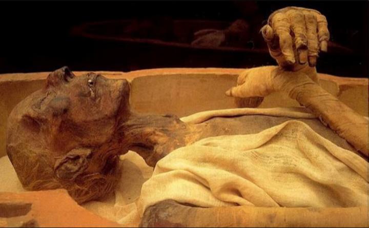 23Vfl's tweet photo. Cuando te sientes Ramses II al pensar en las mierder prácticas que te quedan por hacer. http://t.co/8uA0mI8Qes