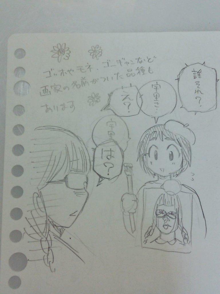 9話目ひまわり🌻
古代インカ帝国で太陽神の象徴とされていたひまわり。紀元前からインディアンの食用作物とされてました。太陽の方を向く花とされてるのですが、それは成長期だけでそんなには向かないらしいです。ちょっとガッカリ。 
