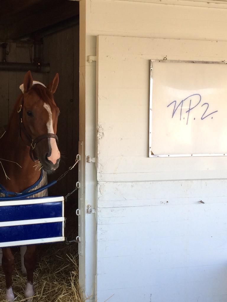 Frammento feeling good, thankful to be in tomorrow. #KyDerby