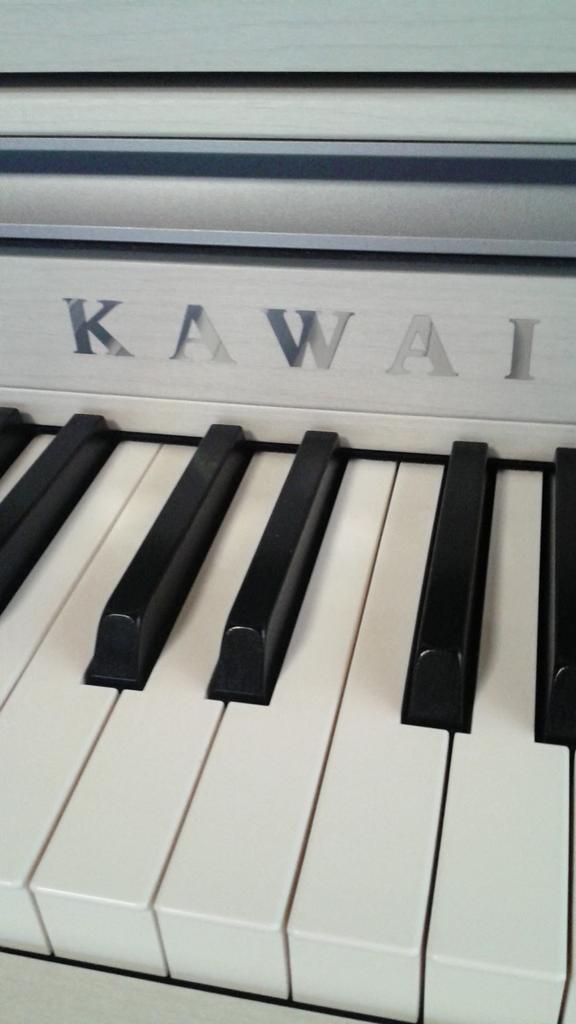 norishio331's tweet photo. @YoshikiOfficial
遂に我が家にもピアノが~!!°.*\( ˆoˆ )/*.°(電子ピアノですが…^_^;)木製鍵盤でとっても弾き心地が良いです*.+゚♬ #KAWAI #CA67 http://t.co/oyGM7ySQmz