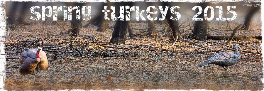 HuntAddictions's tweet image. How's #turkey season going for everyone?! Let's hear about it...
#hunt #gobblers

huntaddictions.com/forums/viewfor…