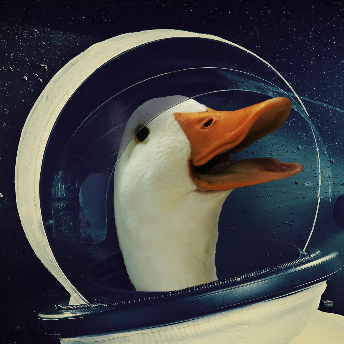 Duck Life 6: Space