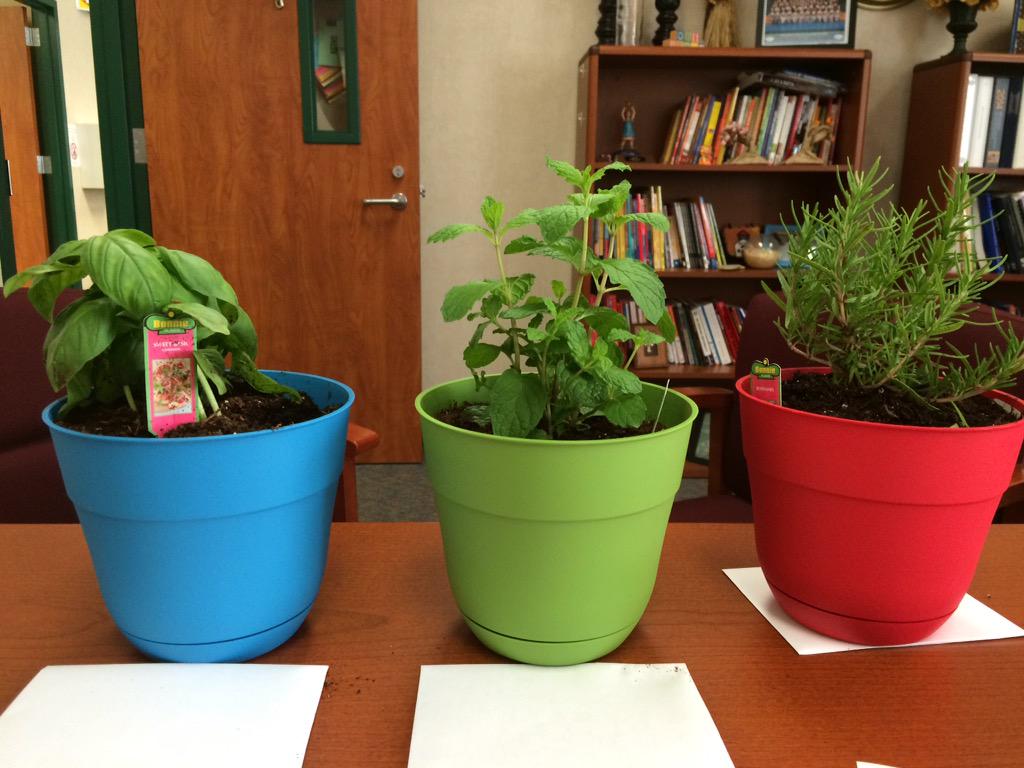retiredhanks's tweet photo. #5 of 20 Things I will miss when I leave in June. Sweet Ss bringing me potted plants! #helpthemgrow #onlyinelementary http://t.co/GhSK3e3nUU