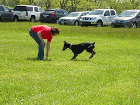 NorwesterReaders tweet media