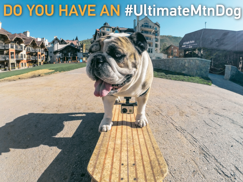 MountainGames tweet picture