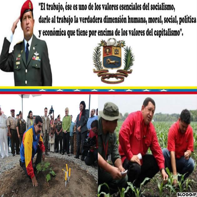 CuarezRomer's tweet photo. http://t.co/d9Ko9FVp3W