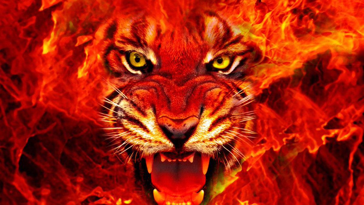 eSharknado's tweet photo. Light energy (sun)--> Chemical Energy (Wood)--> Thermal Energy (Fire)=  Being Warm! #209Energy http://t.co/kaJqGY5Vb5