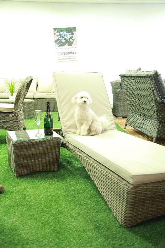 #FOLLOW &amp; #RTWEET FOR A CHANCE TO #WIN, #RATTAN SUN LOUNGERS WORTH £700! mazeliving.co.uk *dog not included!*