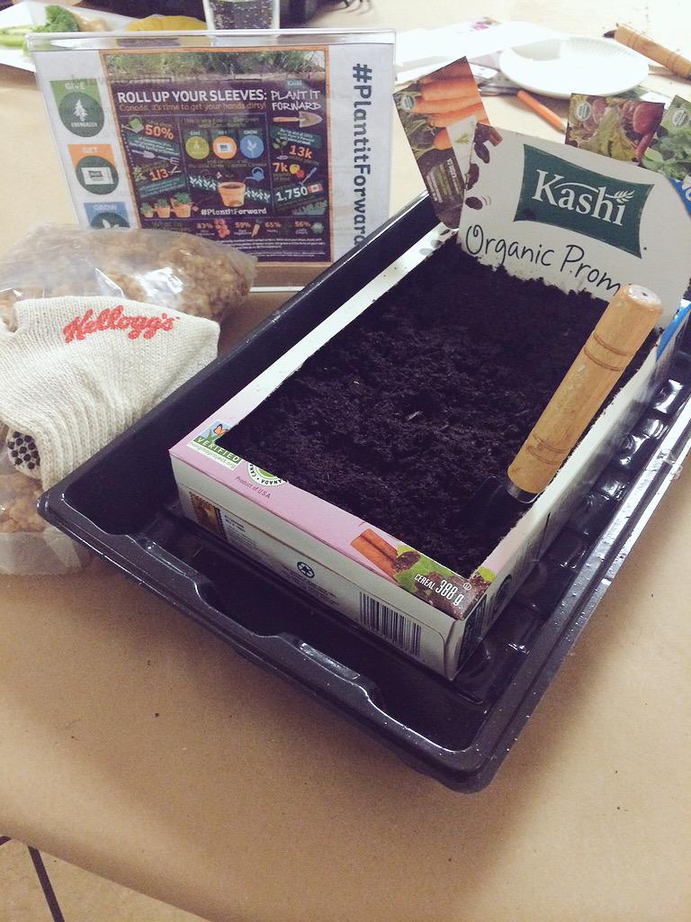 traffikCA's tweet photo. .@Kashi_CA and @EvergreenCanada are building urban gardens so everyone has access to real food. #PlantItForward http://t.co/8DcwZEhsKI