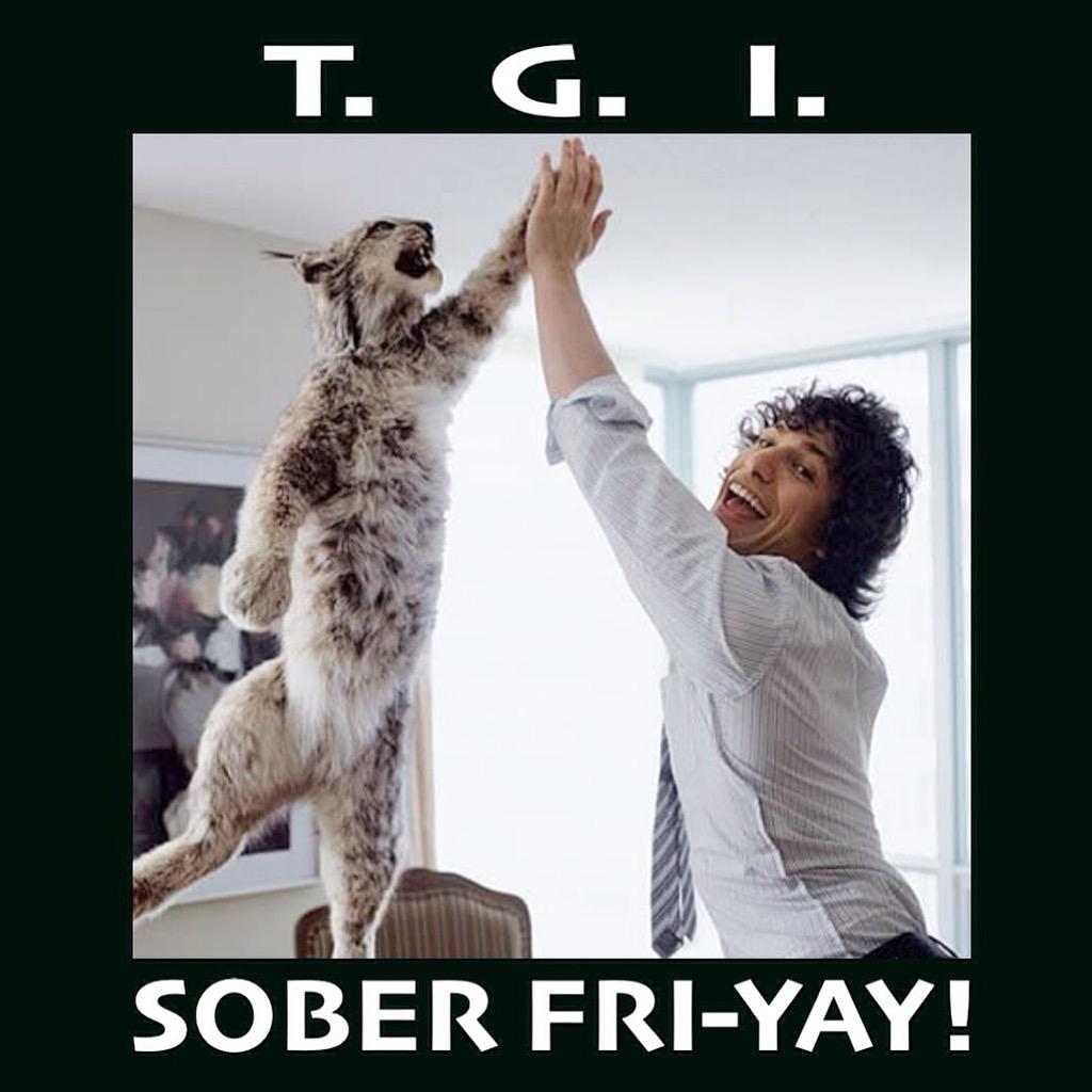 thesoberthreads's tweet image. 🐯👋💥👽 #thesoberlife