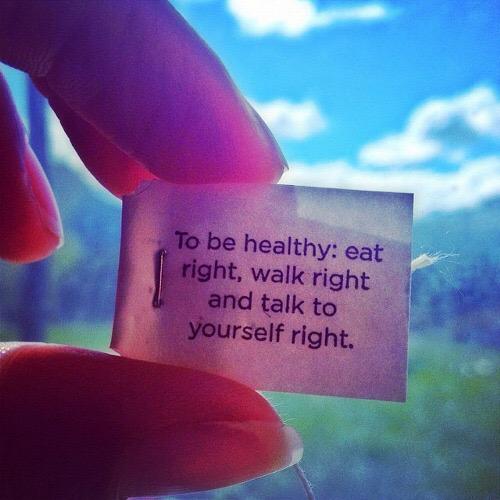 Life Pro Fitness tweet media