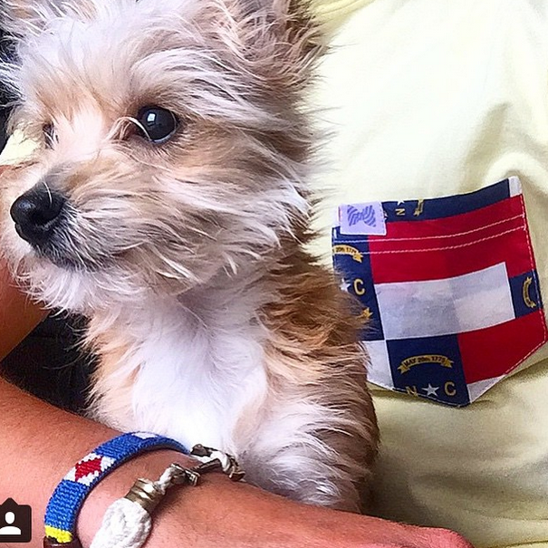 fratcollection's tweet photo. #FratFriday!! Retweet and Favorite for a chance to win $100 store credit to http://t.co/cRepgTd5I6 #fratfriday http://t.co/hkWaxQbVu9