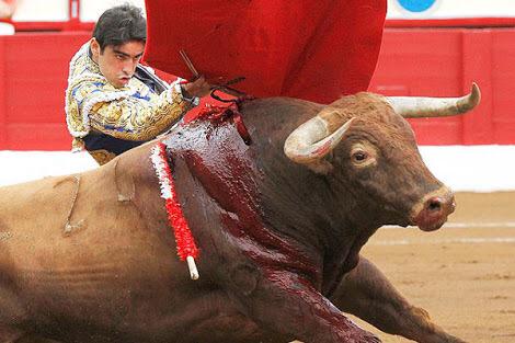 BeAnimalHeroes's tweet photo. #MeCuestaTrabajo entender que haya quien se divierta maltratando animales ¡ya basta! RT si estás de acuerdo http://t.co/M2Zs3NGnHq