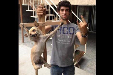 BeAnimalHeroes's tweet photo. #MeCuestaTrabajo entender que haya quien se divierta maltratando animales ¡ya basta! RT si estás de acuerdo http://t.co/M2Zs3NGnHq