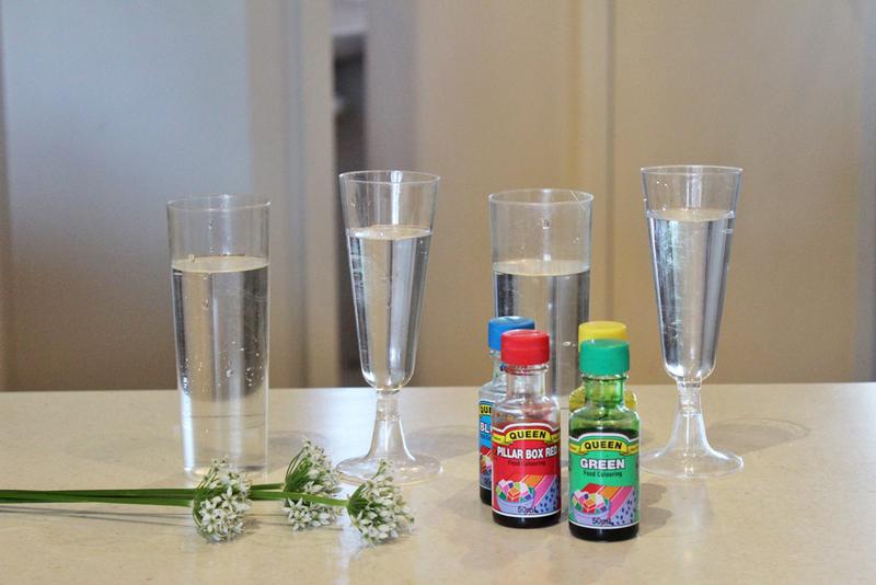 AccelerationKC's tweet image. Happy #MayDay #science world! Anyone else coloring their own flowers?