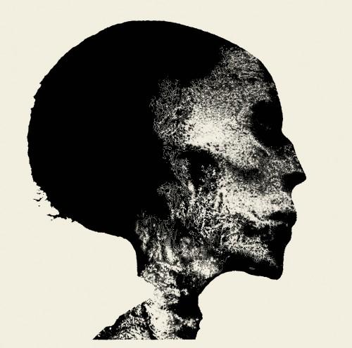 download Evolutionary Computation in Practice