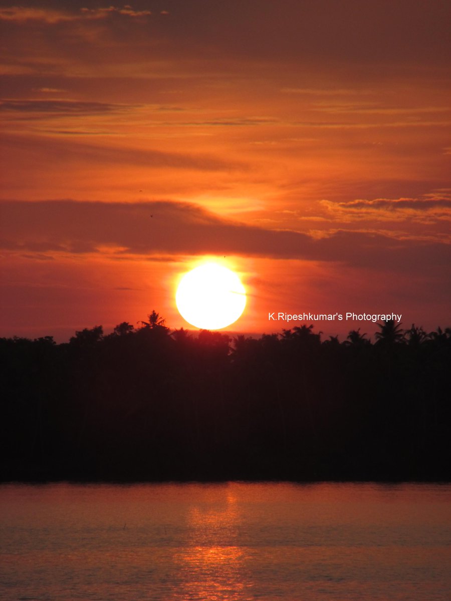 rupesh05312386's tweet photo. From Vaikom Backwaters.......... http://t.co/BxUc497eSP