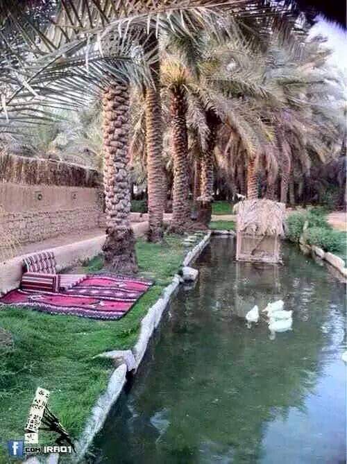 مرني فدوة..
يافرحتي...من اشوفك.
فرحت اعمة...اطكلة صورة..
ومن سأل كالولة...حلوة..